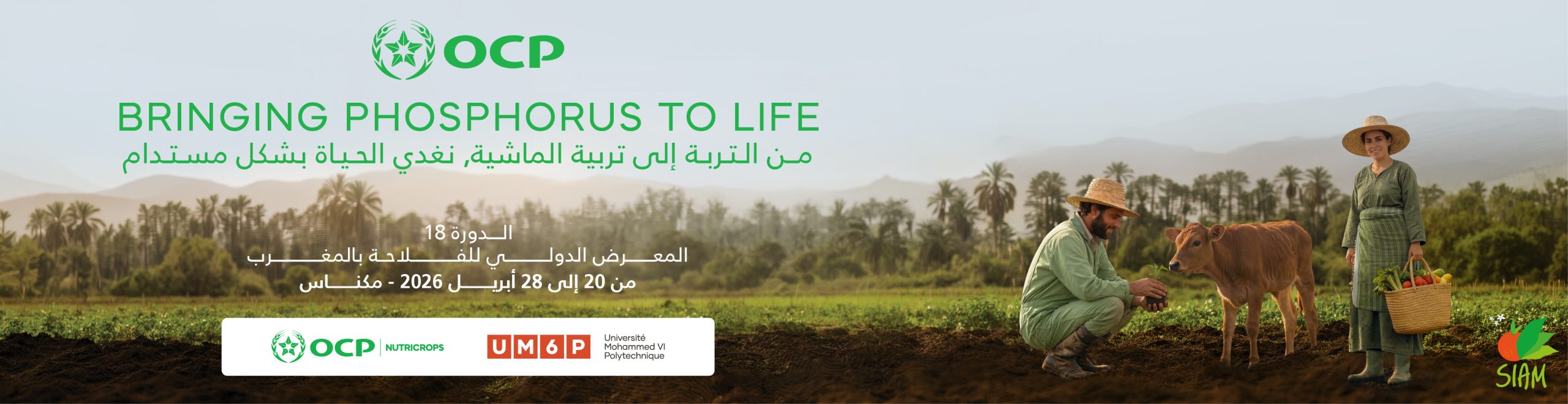 - الإعلانات -