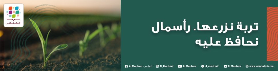 - الإعلانات -